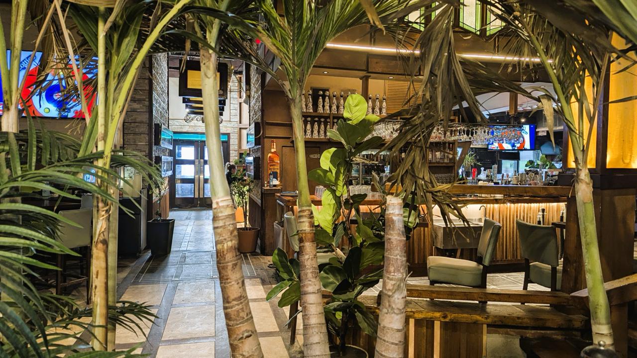Lounge seating surrounded by palm plants at Arizona Grill Lounge in Etobicoke
