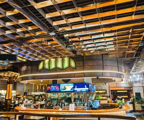 WhatsApp Image 2026-02-20 at 8.17.24 PM