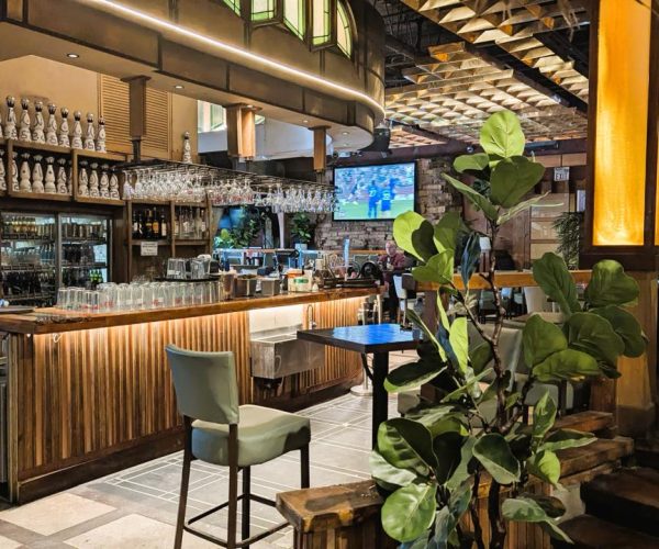 WhatsApp Image 2026-02-20 at 8.17.25 PM