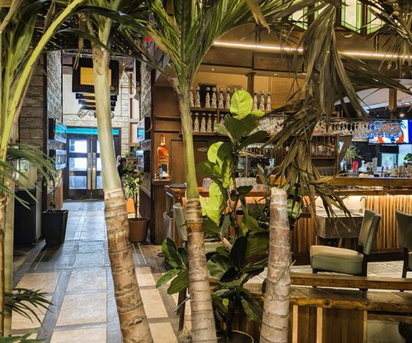 WhatsApp Image 2026-02-20 at 8.17.26 PM